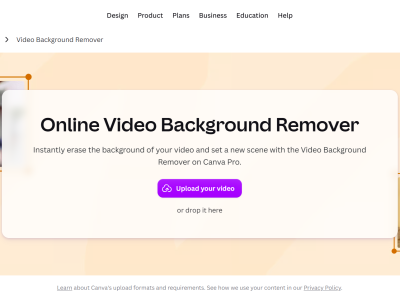 Canva Video Background Remover